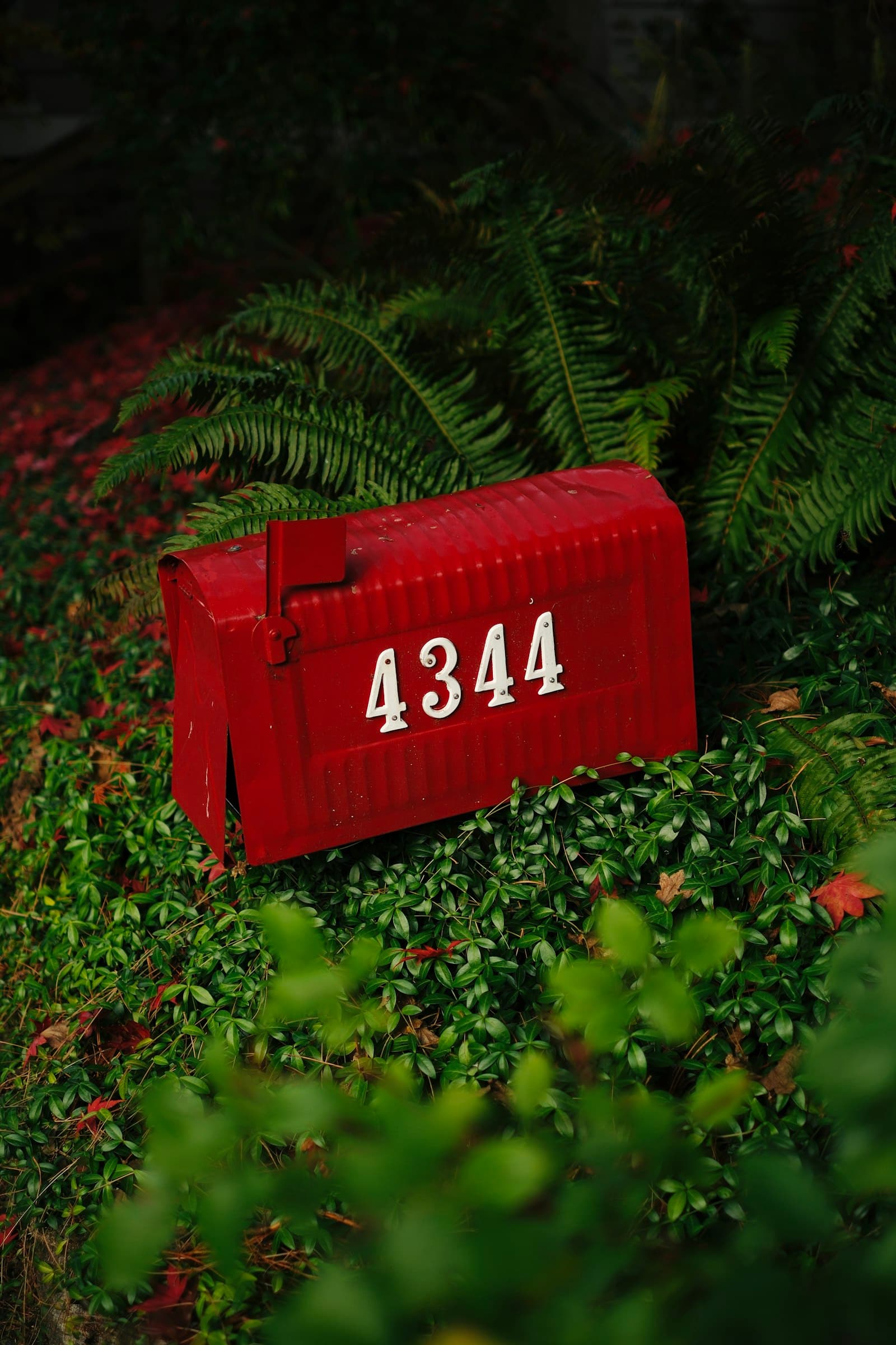 Red post-mount mailbox with brushed house numbers nestled in lush greenery